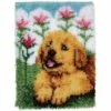 Caron Wonderart Latch Hook Kit 15"X20" - Flower Pup -Cheap Knitting Needles Store 0002090397 yqdimfks.bky
