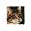 Caron Wonderart Latch Hook Kit - Tabby Cat - 12" X 12"