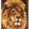 Caron Wonderart Latch Hook Kit - Lion - Large Rug Kit -Cheap Knitting Needles Store 426131 1 637406209205825139