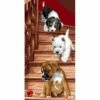 Anchor Royal Paris Canvas: Tapestry Puppies -Cheap Knitting Needles Store ak 13806 1 637406217244252049