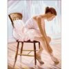 Anchor Royal Paris Canvas: Tapestry Ballerina -Cheap Knitting Needles Store ak 142418 1 637406217246401857