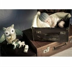 Lisa F Baby Cakes BC20 Sebastian Hat 9 Lisa F Baby Cakes BC20 Sebastian Hat -Cheap Knitting Needles Store bc20 3 637406200844986763