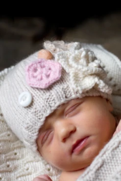 Lisa F BC30 - Winter Garden Hat - Knitting Pattern