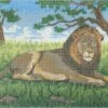 Collection D'Art Tapestry Canvas 40X50 Lion -Cheap Knitting Needles Store da10361 isw5wvwu.vby