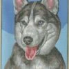 Collection D'Art Tapestry Canvas 40X50 Alsatian -Cheap Knitting Needles Store da10397 mdndwpdr.452