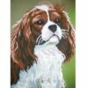 Collection D'Art Tapestry Canvas 40X50 Spaniel -Cheap Knitting Needles Store da10398 xwd2mynw.dnr