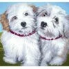 Collection D'Art Tapestry Canvas 40X50 Terrier Puppies -Cheap Knitting Needles Store da10401 2qhllbyh.0uh