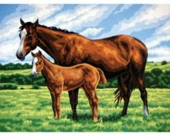 Collection D'Art Tapestry Canvas 40X50 Horse & Foal