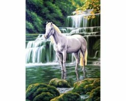 Collection D'Art Tapestry Canvas 40X50 Horse At Waterfall