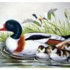 Collection D'Art Tapestry Canvas 40X50 Duck Family -Cheap Knitting Needles Store da10450 ch4k3efu.zr1