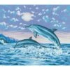 Collection D'Art Tapestry Canvas 50X60 Jumping Dolphins 2 Collection D'Art Tapestry Canvas 50X60 Jumping Dolphins -Cheap Knitting Needles Store da11410 zoktc1uk.4y5