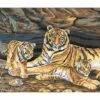 Collection D'Art Tapestry Canvas 50X60 Tiger Family -Cheap Knitting Needles Store da11485 yc4t523s.scr