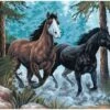 Collection D'Art Tapestry Canvas 50X60 Two Horses -Cheap Knitting Needles Store da11517 uonoyydx.n4z