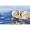 Collection D'Art Tapestry Canvas 60X110 Swans -Cheap Knitting Needles Store da13983 vwdmnchi.kbd