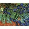 Collection D'Art Tapestry Canvas 60X90 Field Of Iris -Cheap Knitting Needles Store da14282 igj5ola0.rh1