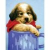 Collection D'Art Tapestry Canvas 20X25 Puppy In Mug -Cheap Knitting Needles Store da3270 3jzrdv1d.auc