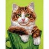 Collection D'Art Tapestry Canvas 20X25 Tabby Cat -Cheap Knitting Needles Store da3272 1eeemzyi.1wk