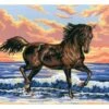 Collection D'Art Tapestry Canvas 30X40 Brown Horse In Surf -Cheap Knitting Needles Store da6031 uckqusz4.2x2