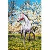 Collection D'Art Tapestry Canvas 30X40 Horse In Spring Meadow -Cheap Knitting Needles Store da6172 oq3hgvh1.o5g