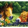 Collection D'Art Tapestry Canvas 30X40 Horse & Foal At Fence -Cheap Knitting Needles Store da6235 vty5ouwc.tq1