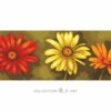 Collection D'Art Tapestry Canvas 35X80 Gerberas -Cheap Knitting Needles Store da9001 oq0v4ear.4od