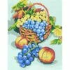 Collection D'Art Tapestry Canvas 25X30 Fruit Still Life 1 Collection D'Art Tapestry Canvas 25X30 Fruit Still Life -Cheap Knitting Needles Store daka54 ixuneeh1.quv