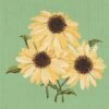 Elizabeth Bradley Tapestry Kit - Echinaceas (Grass Green Background Wool) -Cheap Knitting Needles Store ebetk tbegg 1 637406204375642460