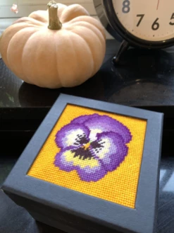 Appleton Stitch Your Own Boxes Pansy - -Cheap Knitting Needles Store pansy lifestyle scal t23bdrd4.1ph