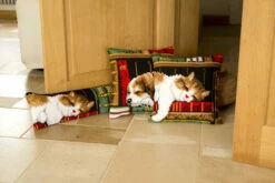 Vervaco Cross Stitch Cushion Kit - Cat Sleeping On Bookshelf -Cheap Knitting Needles Store pn 01464095 5zwksgmh.ilo