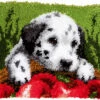 Vervaco Latch Hook Rug Kit Dalmatian With Apples -Cheap Knitting Needles Store pn 01472311 km2oqyvo.n14