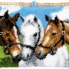 Vervaco Latch Hook Rug Kit Horses -Cheap Knitting Needles Store pn 01557411 abzxvnpi.xi1