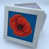 Appleton Stitch Your Own Boxes Poppy - -Cheap Knitting Needles Store poppy parchment 2 sc abxdzd5c.jp4