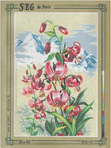 SEG De Paris Tapestry Canvas 30X40 #172 3 SEG De Paris Tapestry Canvas 30X40 #172