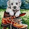 SEG De Paris Tapestry Canvas Puppy In A Shoe 30X40 -Cheap Knitting Needles Store seg928 207 ds10qefw.ycm
