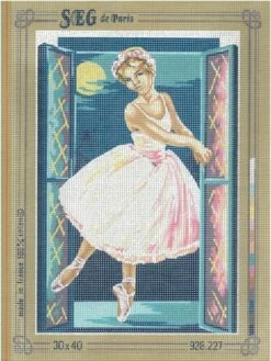 SEG De Paris Tapestry Canvas 30X40 Ballerina -Cheap Knitting Needles Store seg928 227 kwim41im.dra