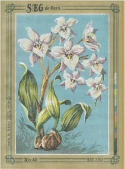 SEG De Paris Tapestry Canvas 30X40 #230