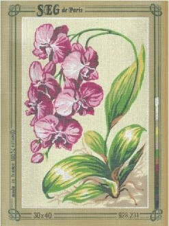 SEG De Paris Tapestry Canvas 30X40 #231