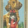 SEG De Paris Tapestry Canvas 30X40 Daschund And Cat -Cheap Knitting Needles Store seg928 238 rojan0ne.wrx
