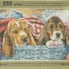 SEG De Paris Tapestry Canvas 30X40 Puppies In A Basket 1 SEG De Paris Tapestry Canvas 30X40 Puppies In A Basket -Cheap Knitting Needles Store seg928 279 urmxv1a2.ek5
