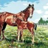 SEG De Paris Tapestry Canvas Mare & Foal 45X60Cm -Cheap Knitting Needles Store seg929 184 z2oac1gx.lmr