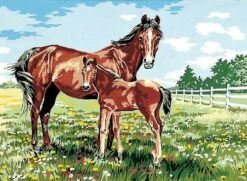 SEG De Paris Tapestry Canvas Mare & Foal 45X60Cm