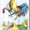 SEG De Paris Tapestry Canvas 45X60 Chante Clair, Chicken Family -Cheap Knitting Needles Store seg929 354 ivadfu2k.jzp